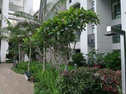 Highline Residences (D3), Condominium #171759312